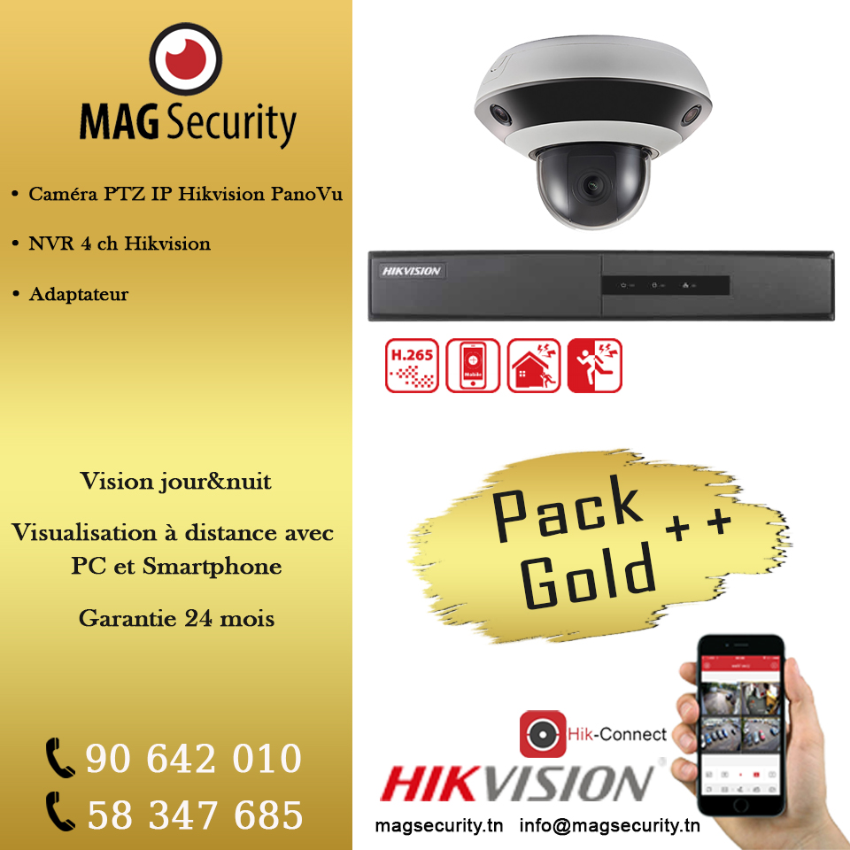 Pack Gold ++ Caméras De Surveillance Hikvision Ip